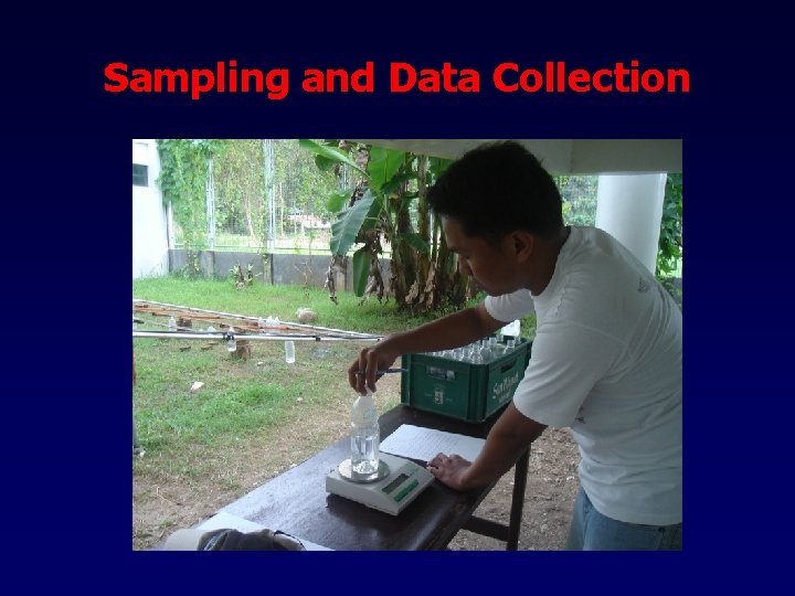 Sampling and Data Collection 