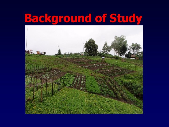 Background of Study 
