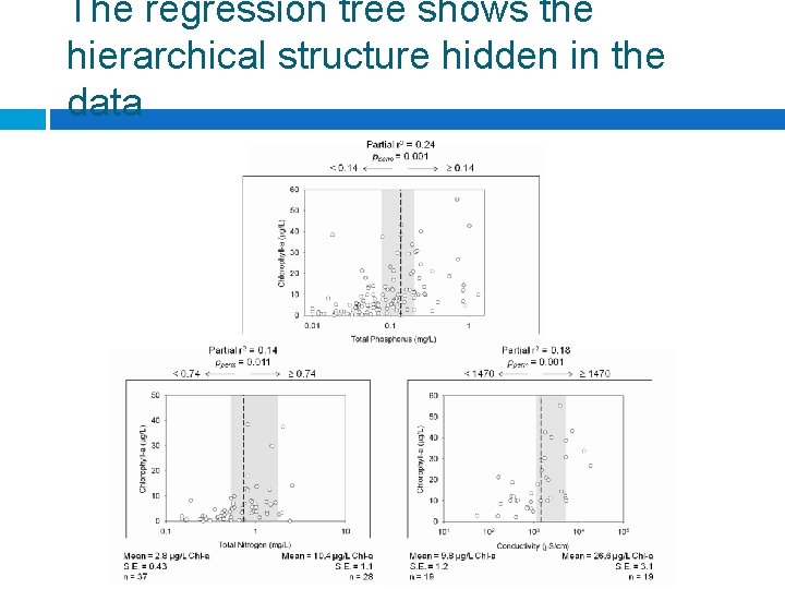The regression tree shows the hierarchical structure hidden in the data 