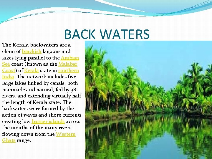 BACK WATERS The Kerala backwaters are a chain of brackish lagoons and lakes lying