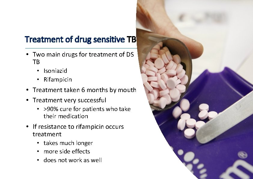 Treatment of drug sensitive TB • Two main drugs for treatment of DS TB