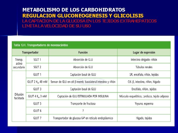 METABOLISMO DE LOS CARBOHIDRATOS REGULACION GLUCONEOGENESIS Y GLICOLISIS LA CAPTACION DE LA GLUCOSA EN