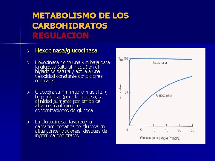 METABOLISMO DE LOS CARBOHIDRATOS REGULACION Ø Hexocinasa/glucocinasa Ø Hexocinasa: tiene una Km baja para