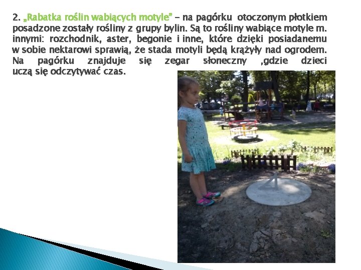 2. „Rabatka roślin wabiących motyle” - na pagórku otoczonym płotkiem posadzone zostały rośliny z