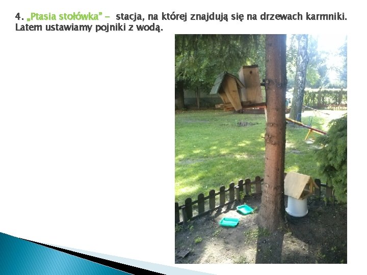 4. „Ptasia stołówka” - stacja, na której znajdują się na drzewach karmniki. Latem ustawiamy