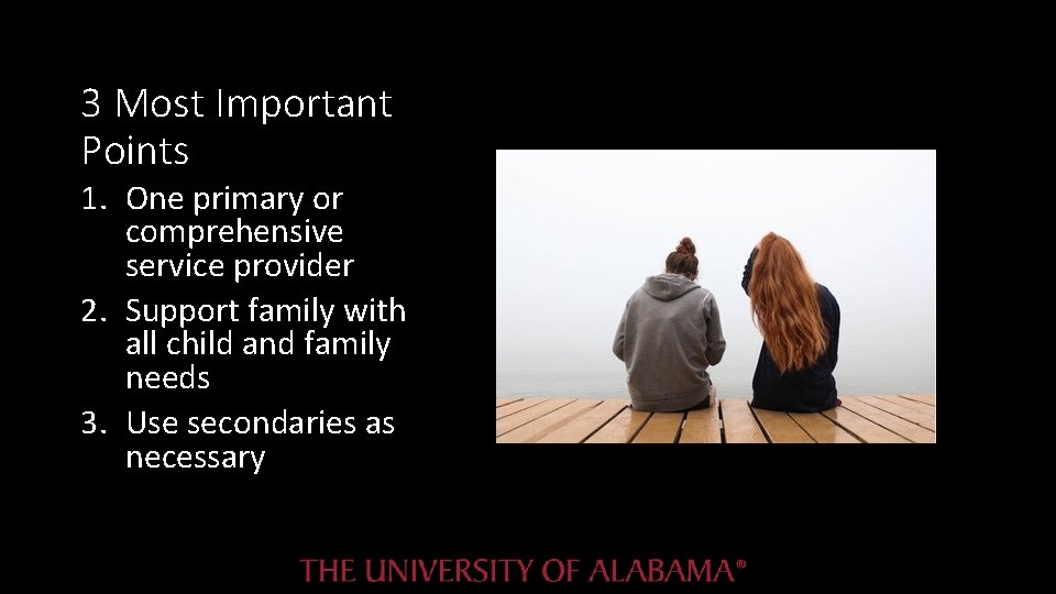 3 Most Important Points 1. One primary or comprehensive service provider 2. Support family 3 Most Important Points 1. One primary or comprehensive service provider 2. Support family