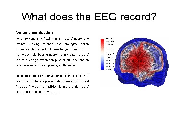 What does the EEG record? Volume conduction Ions are constantly flowing in and out