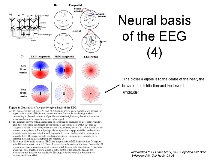 Neural basis of the EEG (4) “The closer a dipole is to the centre