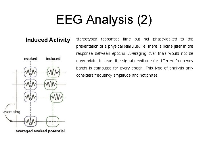 EEG Analysis (2) Induced Activity stereotyped responses time but not phase-locked to the presentation
