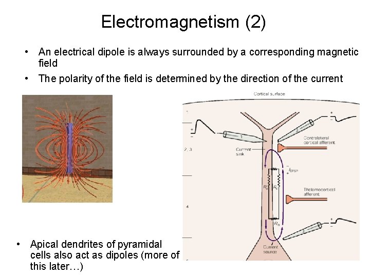 Electromagnetism (2) • An electrical dipole is always surrounded by a corresponding magnetic field