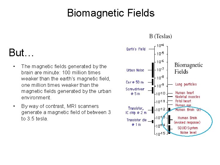 Biomagnetic Fields But… • The magnetic fields generated by the brain are minute: 100