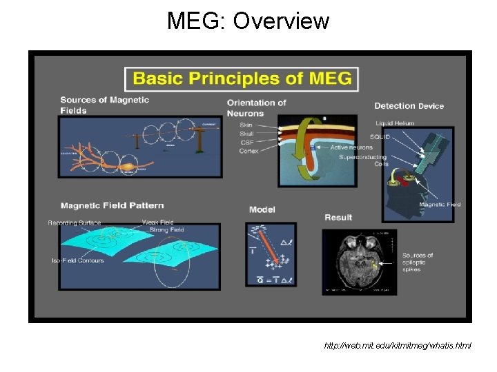 MEG: Overview http: //web. mit. edu/kitmitmeg/whatis. html 