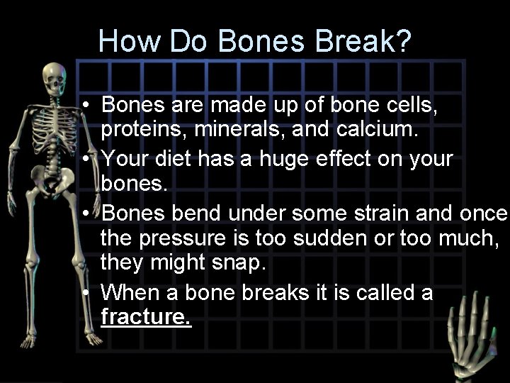 How Do Bones Break? • Bones are made up of bone cells, proteins, minerals,