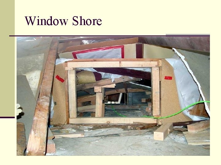 Window Shore 