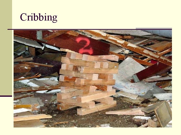 Cribbing 