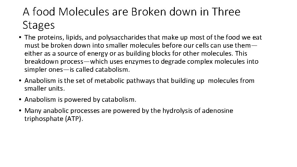 A food Molecules are Broken down in Three Stages • The proteins, lipids, and