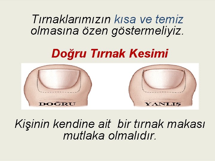 Tırnaklarımızın kısa ve temiz olmasına özen göstermeliyiz. Doğru Tırnak Kesimi Kişinin kendine ait bir