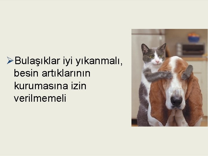 ØBulaşıklar iyi yıkanmalı, besin artıklarının kurumasına izin verilmemeli 