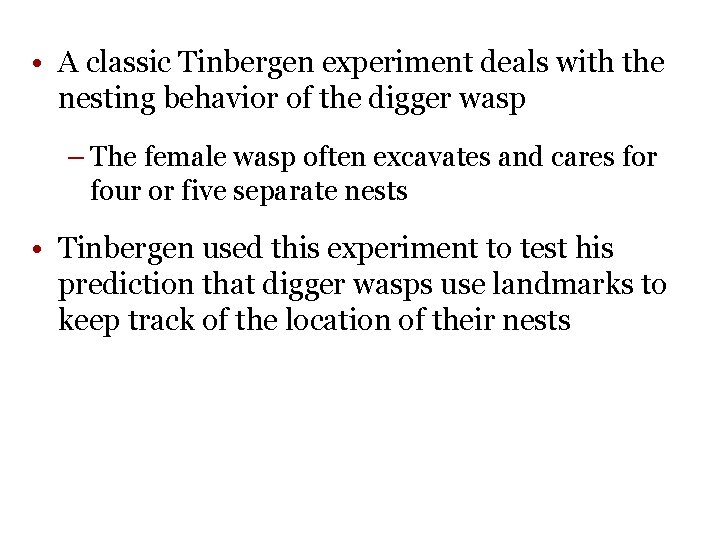 • A classic Tinbergen experiment deals with the nesting behavior of the digger • A classic Tinbergen experiment deals with the nesting behavior of the digger