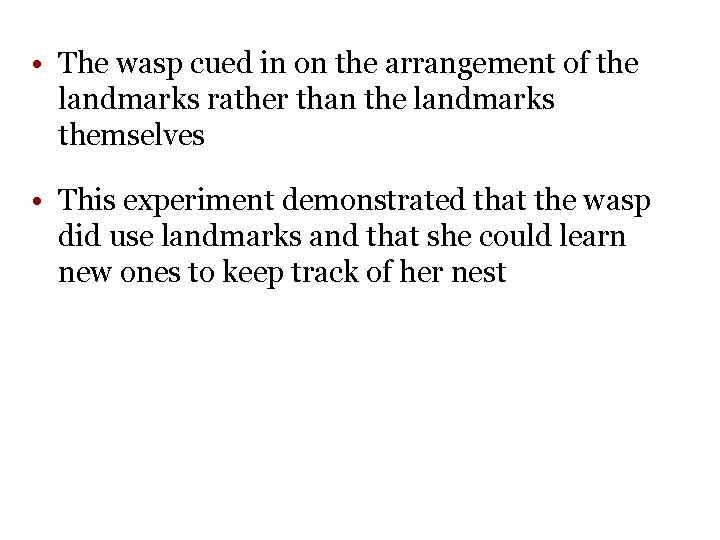 • The wasp cued in on the arrangement of the landmarks rather than • The wasp cued in on the arrangement of the landmarks rather than