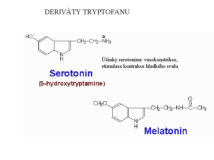 DERIVÁTY TRYPTOFANU Účinky serotoninu: vasokonstrikce, stimulace kontrakce hladkého svalu 