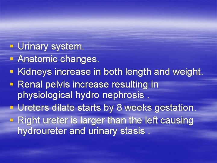 § § Urinary system. Anatomic changes. Kidneys increase in both length and weight. Renal