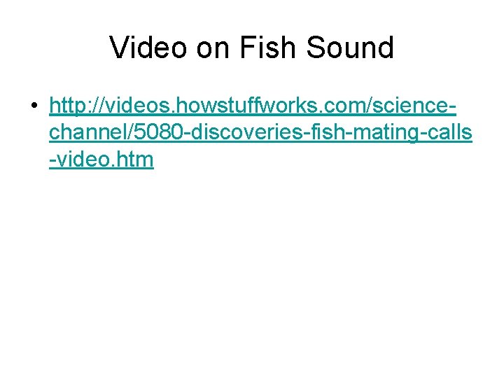 Video on Fish Sound • http: //videos. howstuffworks. com/sciencechannel/5080 -discoveries-fish-mating-calls -video. htm 