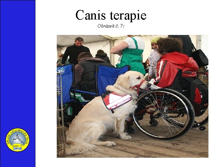 Canis terapie Obrázek č. 7: 