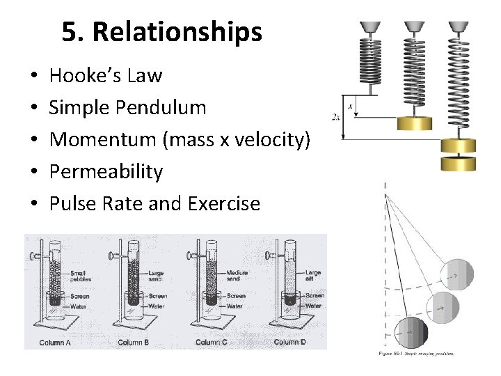 5. Relationships • • • Hooke’s Law Simple Pendulum Momentum (mass x velocity) Permeability