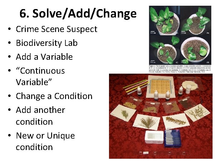 6. Solve/Add/Change Crime Scene Suspect Biodiversity Lab Add a Variable “Continuous Variable” • Change