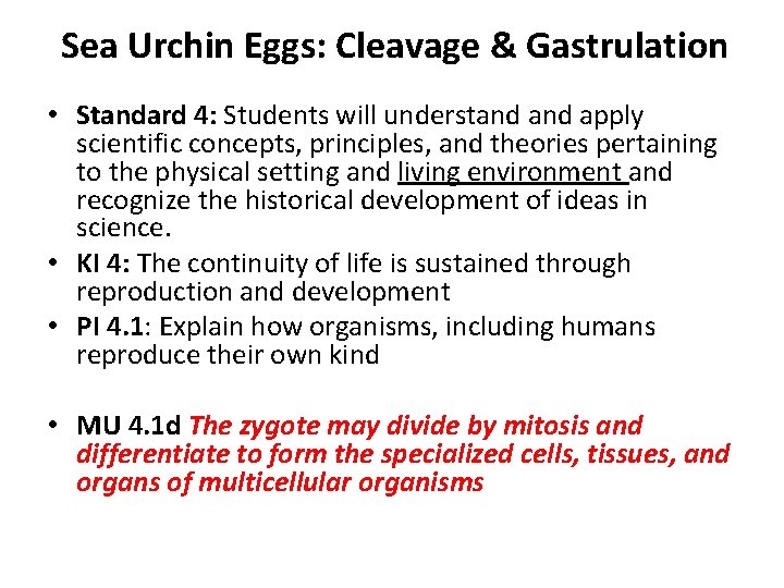 Sea Urchin Eggs: Cleavage & Gastrulation • Standard 4: Students will understand apply scientific