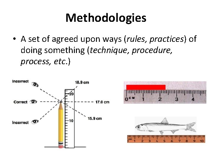 Methodologies • A set of agreed upon ways (rules, practices) of doing something (technique,