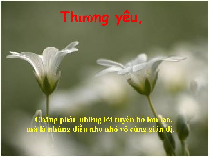 Thương yêu, Chẳng phải những lời tuyên bố lớn lao, mà là những điều