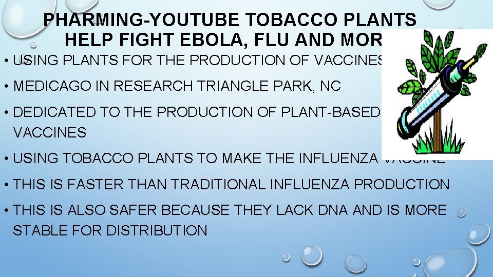 PHARMING-YOUTUBE TOBACCO PLANTS HELP FIGHT EBOLA, FLU AND MORE • USING PLANTS FOR THE