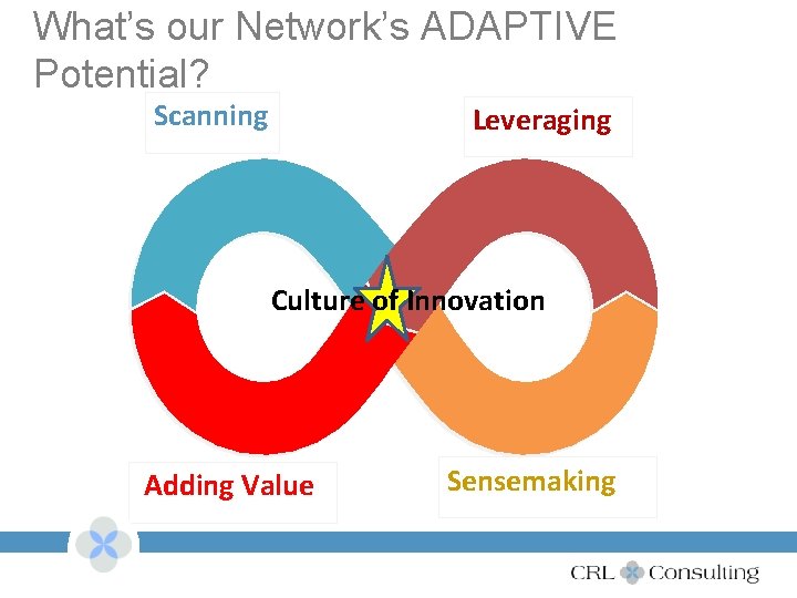 What’s our Network’s ADAPTIVE Potential? Scanning Leveraging Culture of Innovation Adding Value Sensemaking 2