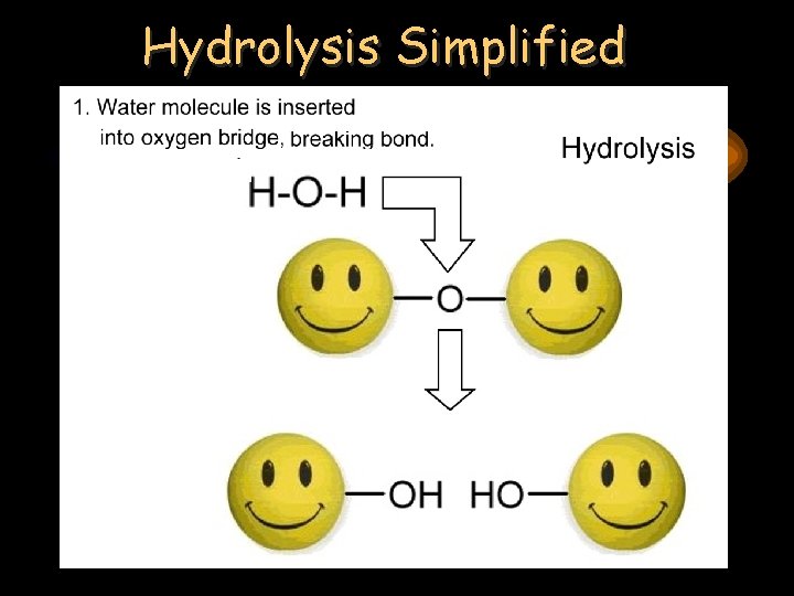 Hydrolysis Simplified 