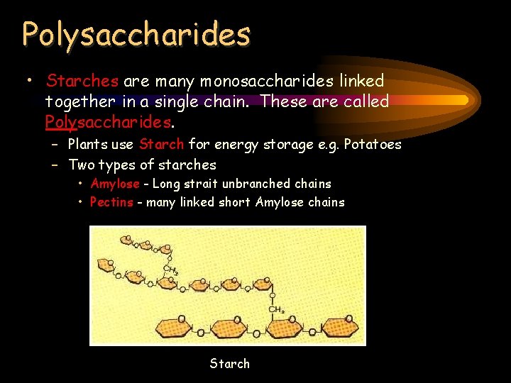 Polysaccharides • Starches are many monosaccharides linked together in a single chain. These are