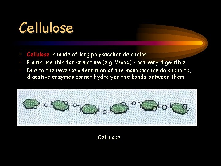 Cellulose • • • Cellulose is made of long polysaccharide chains Plants use this