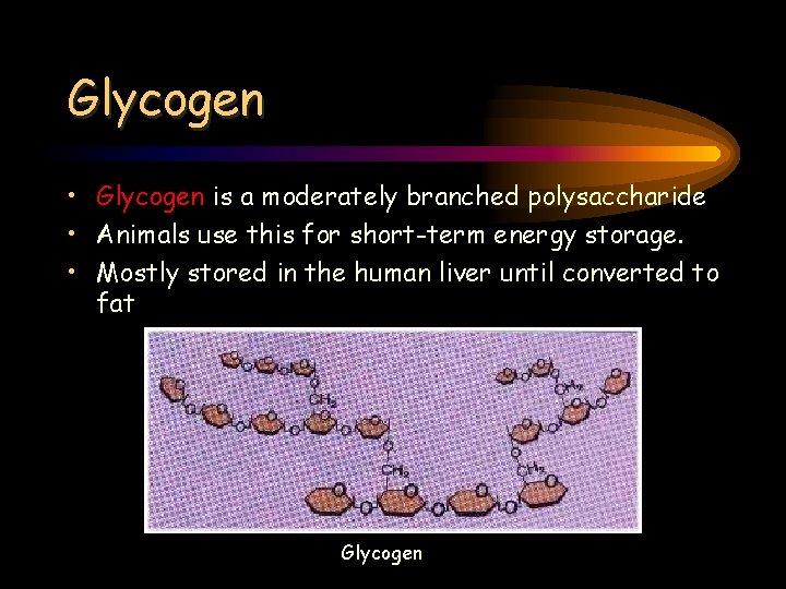 Glycogen • Glycogen is a moderately branched polysaccharide • Animals use this for short-term