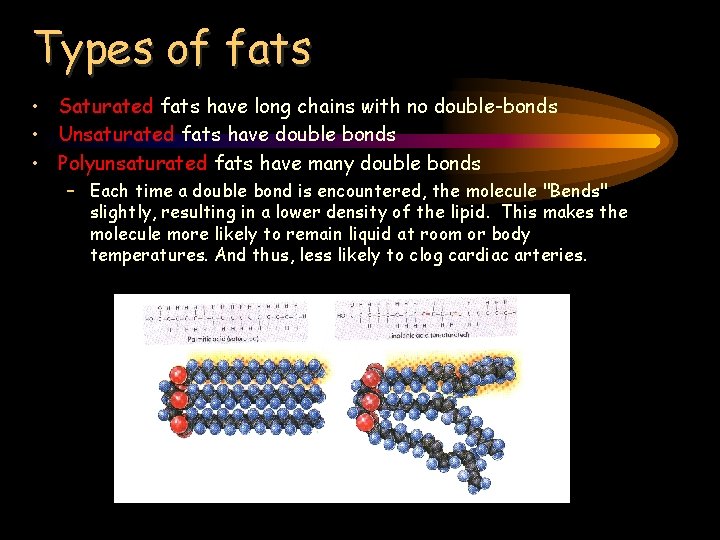 Types of fats • Saturated fats have long chains with no double-bonds • Unsaturated