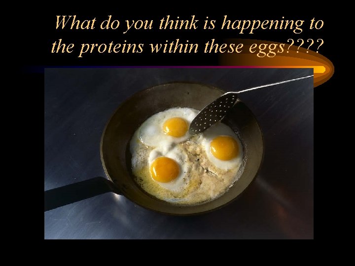 What do you think is happening to the proteins within these eggs? ? 