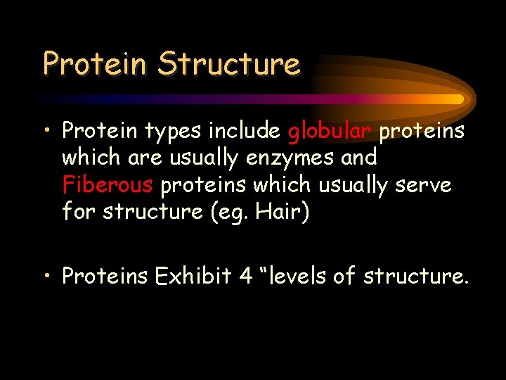 Protein Structure • Protein types include globular proteins which are usually enzymes and Fiberous