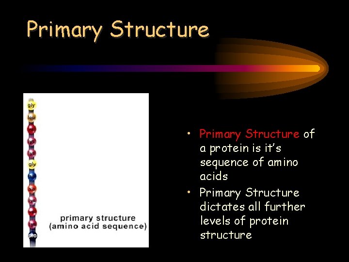 Primary Structure • Primary Structure of a protein is it’s sequence of amino acids