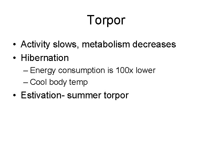Torpor • Activity slows, metabolism decreases • Hibernation – Energy consumption is 100 x
