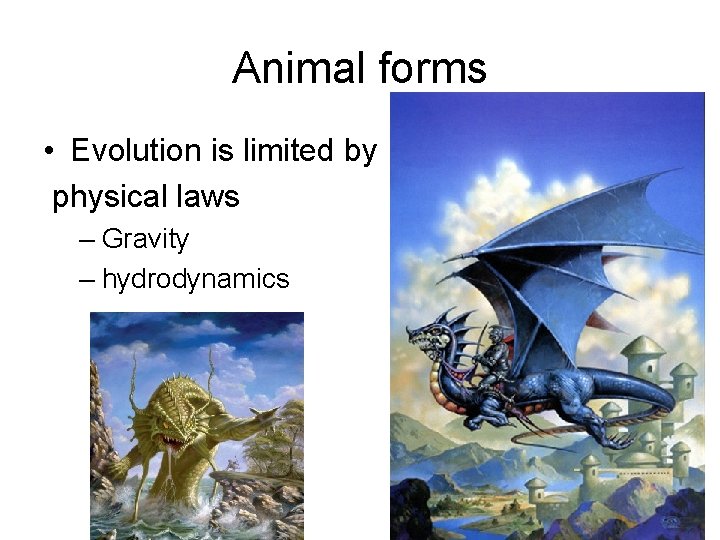 Animal forms • Evolution is limited by physical laws – Gravity – hydrodynamics 