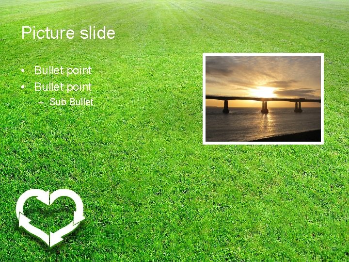 Picture slide • Bullet point – Sub Bullet 