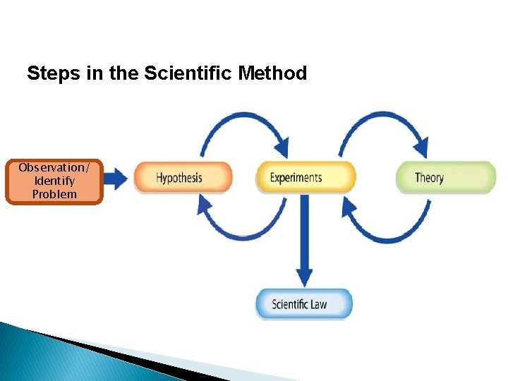 Steps in the Scientific Method Observation/ Identify Problem 