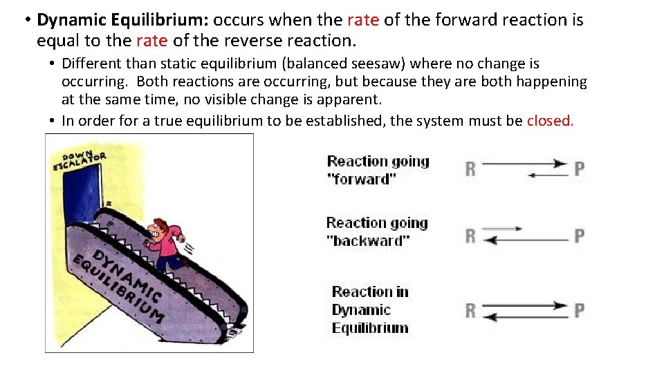  • Dynamic Equilibrium: occurs when the rate of the forward reaction is equal