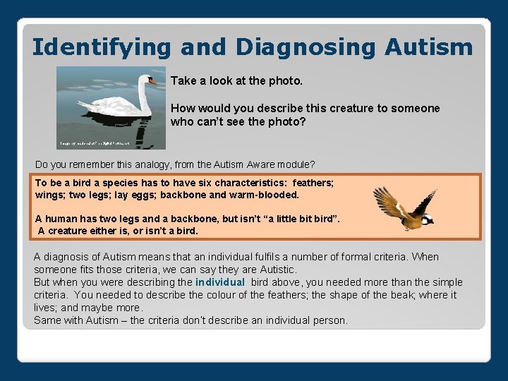 Identifying and Diagnosing Autism Take a look at the photo. How would you describe
