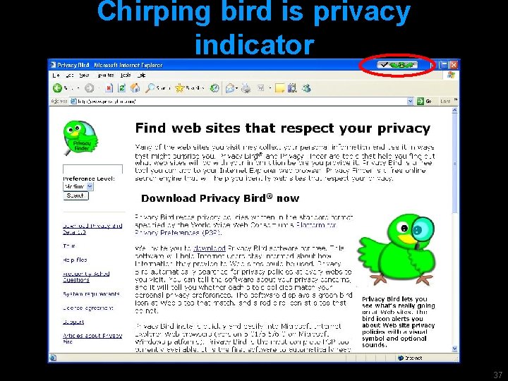 Chirping bird is privacy indicator 37 